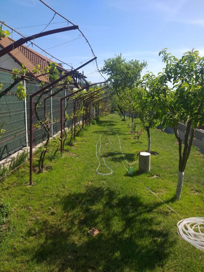 Cabanele Deltei Dunavăţu de Jos Екстериор снимка